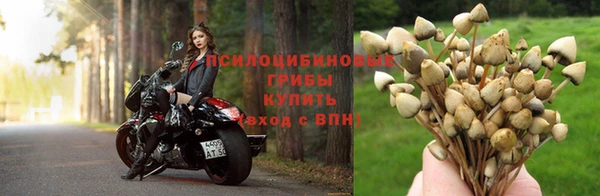 дмт Чекалин