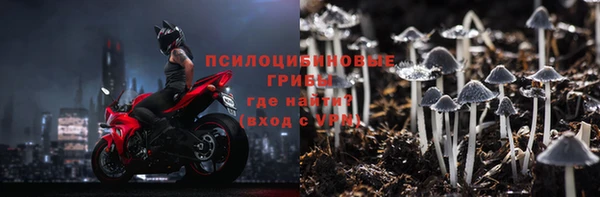 ПСИЛОЦИБИНОВЫЕ ГРИБЫ Вяземский