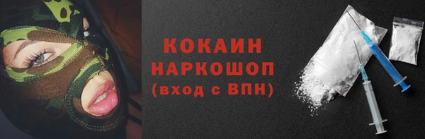 ПСИЛОЦИБИНОВЫЕ ГРИБЫ Вяземский