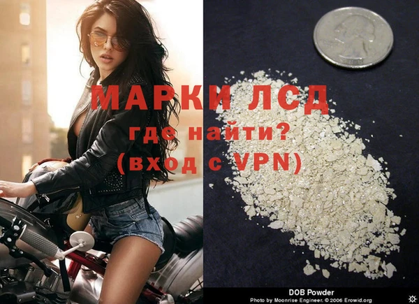 ПСИЛОЦИБИНОВЫЕ ГРИБЫ Вяземский