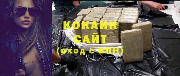 ПСИЛОЦИБИНОВЫЕ ГРИБЫ Вяземский